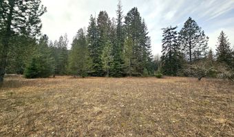 NNA Lightning Creek Rd, Clark Fork, ID 83811