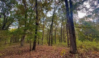 Goodwin Cove lot 29, Ash Flat, AR 72513
