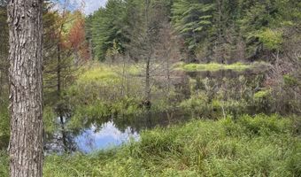 Map 227 Lot 010 Underwood Road, Acworth, NH 03601