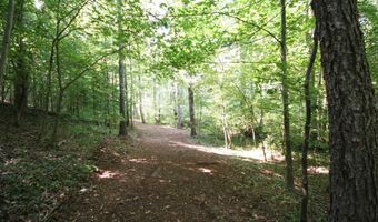 TBA BETTYS BRANCH RD X, Arvonia, VA 23004