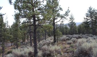 030 Butterfly Peak Rd, Mountain Center, CA 92561