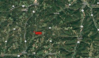 Lynch Road, Alfred, NY 14806