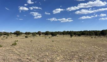 18 C W Warren Rd, Ash Fork, AZ 86320