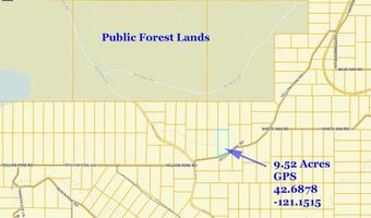 Yellow Pine Road TL 4E, Beatty, OR 97621