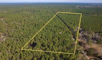 527 Forest Service Rd, Apple Springs, TX 75926