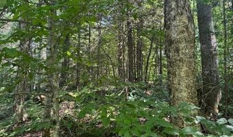 639 Horace Way Rd, Albany, VT 05820