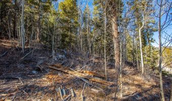 431 N Aspen St, Alma, CO 80420