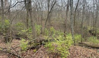 3 Salem Ridge Rd, Aurora, IN 47001