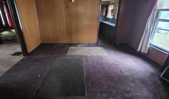 113 W Walnut St, Albion, MI 49224