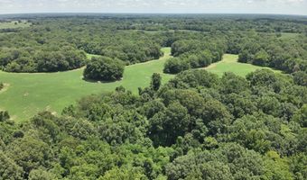 Hwy 1591, Bardwell, KY 42023