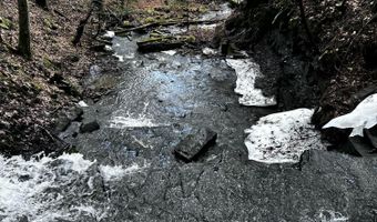 181 Gray Rd, Altamont, NY 12009