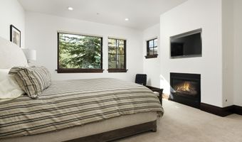 566 Race St, Aspen, CO 81611