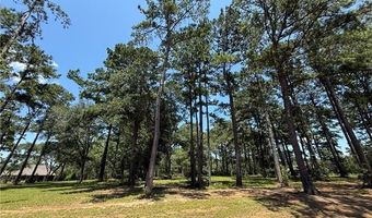 7238 THE WOODS Ave Lot 480, Abita Springs, LA 70420