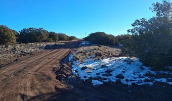 286 County Rd, Concho, AZ 85924