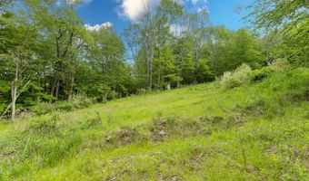 1361 Weaver Hollow Rd, Andes, NY 13731