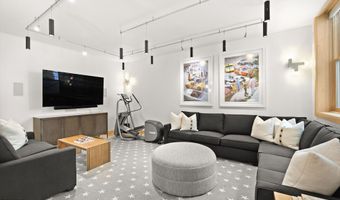 204 N Monarch St, Aspen, CO 81611