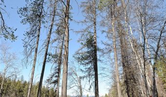 518 Eastman Dr, Bigfork, MT 59911