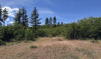 112 TIMBER Rd, Bickleton, WA 99322