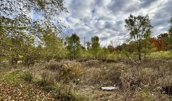 6600 Calhoun Rd, Albion, MI 49224