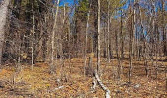 TM 407 L 35 Shem Valley Road, Alexandria, NH 03222