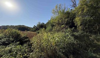 27 Ac. Dougherty Creek Rd, Argyle, WI 53504