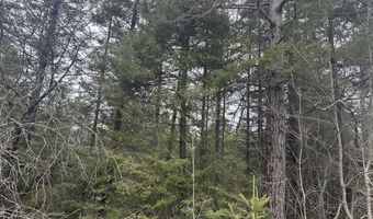 4200 Bloom Rd, Alpena, MI 49707