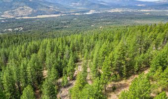 NNA USFS 2550 40 acres, Blanchard, ID 83804