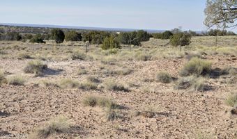 623 C Lazy S Ranch Rd, Concho, AZ 85924