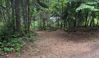 13471 Sundance Trl, Bigfork, MT 59911