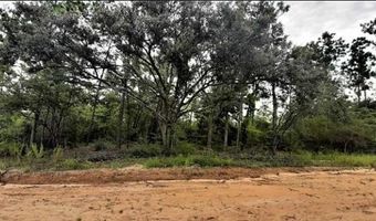 Lot 40 Alene Dr, Alford, FL 32420