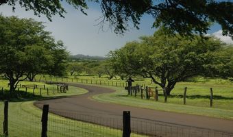 56-113 PUALANI Rd, Hawi, HI 96719