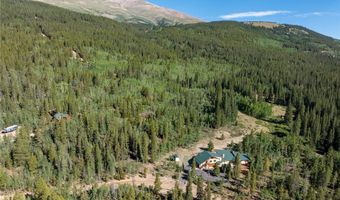 1227 Edgewood Rd, Alma, CO 80420