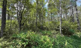TBD Samuelson Road - Sec 15, Angora, MN 55703