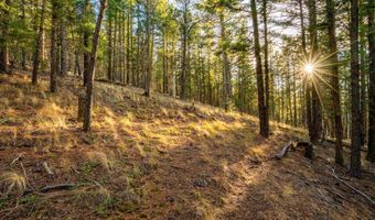 El Camino Real lot 35, Angel Fire, NM 87710