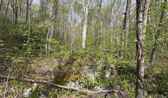 999999 Harwood Rd, Barnardsville, NC 28709