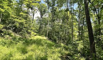 Denio Road, Barnet, VT 05821