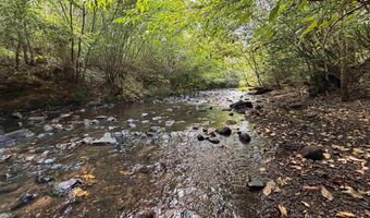 6150 SHOAL CREEK Rd 124+/- Acres, Ashville, AL 35953