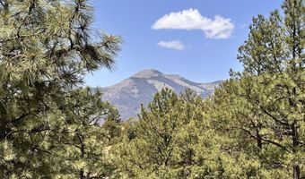 106 Donkey Ct, Alto, NM 88312