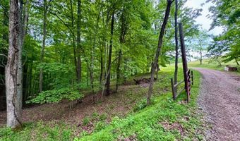 2062 Jake Fork Rd, Arnoldsburg, WV 25234