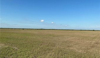 FM 1352, Alice, TX 78332