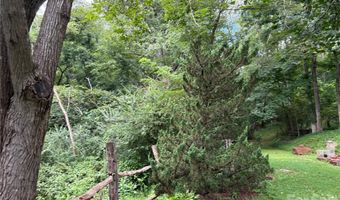 11 Thornberry Dr, Alexander, NC 28701
