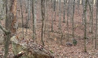 2611 OAKS CHAPEL Rd, Ashland, AL 36251