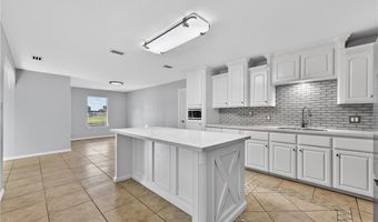 731 Veronika St, Alamo, TX 78516