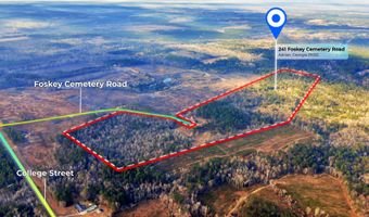 241 Foskey Cemetary Rd, Adrian, GA 31002