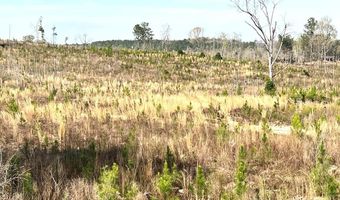 5000 County Road 53, Banks, AL 36005
