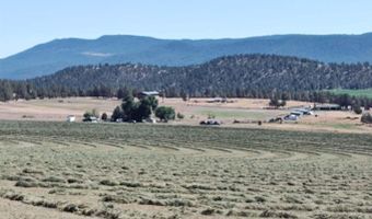 35429 McCartie Ln, Bonanza, OR 97623