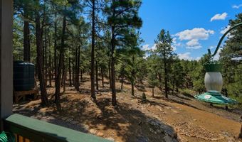23251 Elk Trl, Aguilar, CO 81020