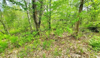 Pleasent Pond Road lot 6, Atkinson, ME 04426