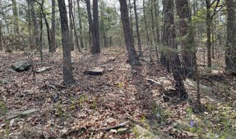 Lot 31-33 Whispering Pines Way, Antlers, OK 74523