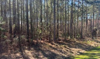 221 W 1st St, Arabi, GA 31712